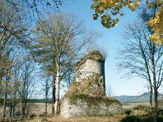 Ruine Königsburg