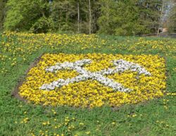 Clausthal-Zellerfeld lässt Blumen sprechen
