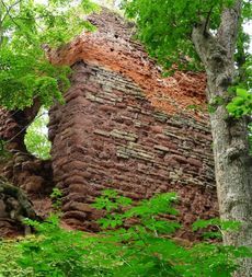Ruine Grillenburg