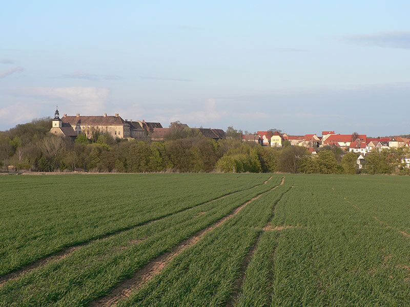 Blick von Westen auf den Ortsteil Walbeck © Dr. Klaus George